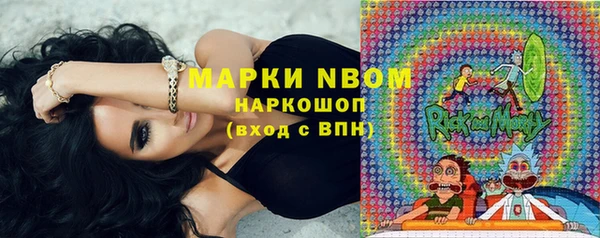 дмт Абаза