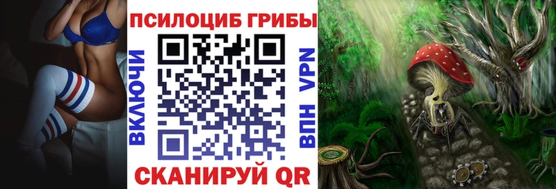сколько стоит  Татарск  Псилоцибиновые грибы Psilocybe 